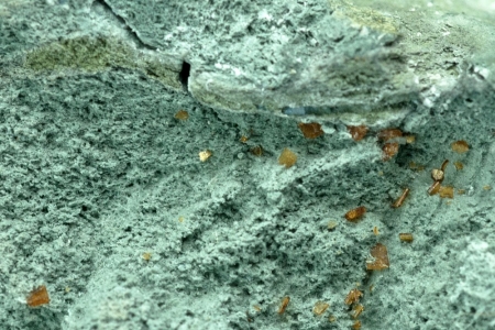 Joaquinite-(Ce) Joaquinite-(Ce)