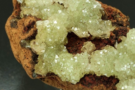 Adamite Adamite
