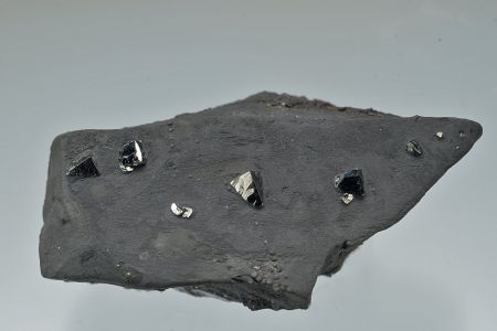 Freibergite Freibergite