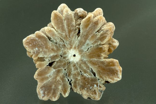 Barite Stalagmite -  cross-section