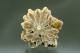 Barite Stalagmite -  cross-section