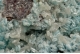 Hemimorphite, Willemite & Cerussite