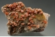 Wulfenite