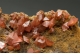 Wulfenite