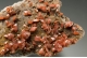 Wulfenite