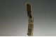 Epidote