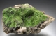Pyromorphite