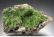 Pyromorphite