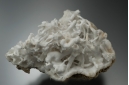 Aragonite Var. Eisenblüte