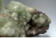 Prehnite