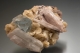 Fluorite, Barite and dolomite