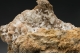 Cerussite