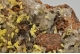 Mimetite and Hemimorphite