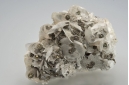 Pyrite on Calcite