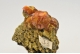 Mimetite Var. Campylite