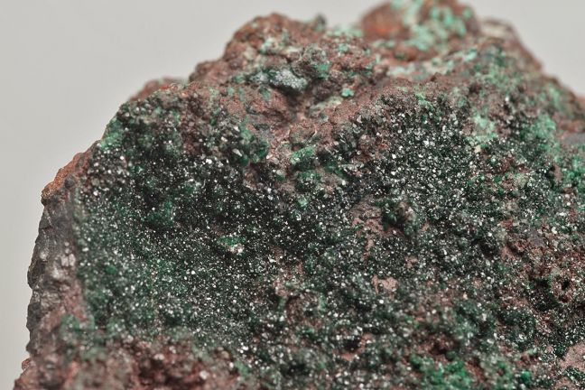 Paratacamite