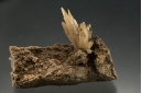 Aragonite