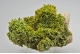 Pyromorphite