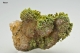 Pyromorphite