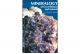 Manual  of the Mineralogy of Great Britain and Ireland