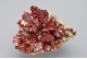 Vanadinite