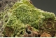 Pyromorphite