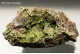 Pyromorphite