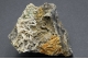 Cerussite