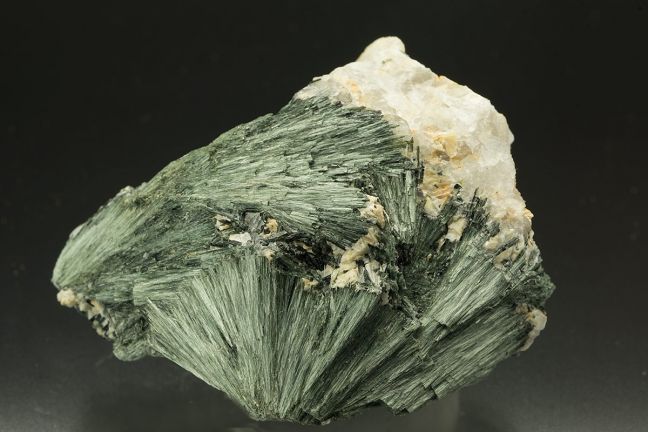 Actinolite