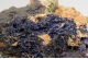 Azurite