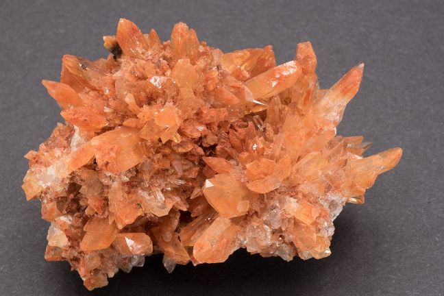 Creedite