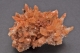 Creedite