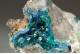 Shattuckite with Dioptase