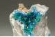 Shattuckite with Dioptase