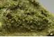 Pyromorphite