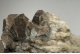 Calcite on Barite