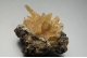 Aragonite