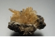 Aragonite