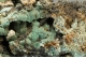 Aurichalcite