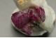 Ruby (Var. of corundum)