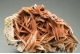 Barite