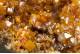 Wulfenite & Vanadinite