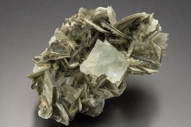 Fluorite in Muscovite Fluorite in Muscovite
