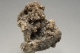 Fluorapatite (Carbonate rich)