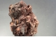 Hematite and quartz replacing  fossilised coral