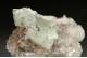 Apophyllite