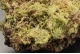 Pyromorphite