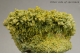 Pyromorphite