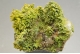 Pyromorphite