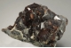 Grossular Garnet (Var. Hessonite)